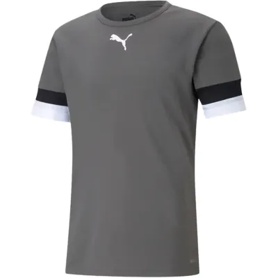 Футболка Puma teamRISE Jersey сірий Чол L 704932-13 L Футболка Puma teamRISE Jersey сірий Чол L 704932-13 L - Robinzon.ua