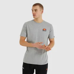 Мужская Футболка Ellesse Canaletto Tee Серый XL (7dSHS04548-112 XL) - Robinzon.ua