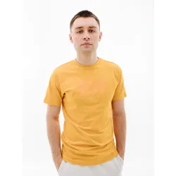 Мужская Футболка HELLY HANSEN HH LOGO T-SHIRT Оранжевый M (7d33979-364 M) - Robinzon.ua