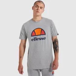 Мужская Футболка Ellesse Dyne Tee Серый S (7dSXG12736-112 S) - Robinzon.ua