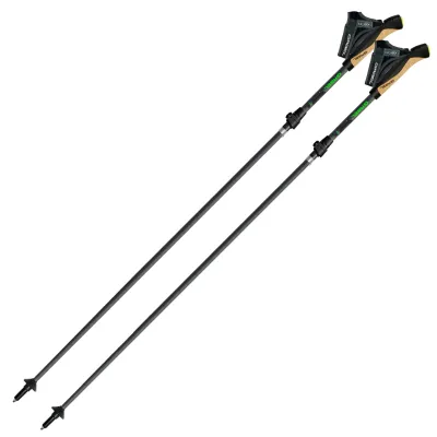 Палки для скандинавской ходьбы Gabel Springbok XTS (7009400600000) - 1 - Robinzon.ua