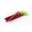 Двухместная палатка Naturehike Cloud UP 2 оранжевая обновленная NH17T001-T. - 3 Двухместная палатка Naturehike Cloud UP 2 оранжевая обновленная NH17T001-T. - 3 - Robinzon.ua