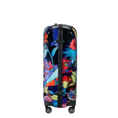 Чемодан 75 см C-LITE Vexx NIGHTFALL - 4 - Robinzon.ua
