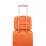 Б'юті-кейс STARVIBE PAPAYA SMOOTHIE - 6 Б'юті-кейс STARVIBE PAPAYA SMOOTHIE - 6 - Robinzon.ua