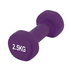Гантель PowerPlay 4125 виниловая 2.5 кг Фиолетовая - Robinzon.ua