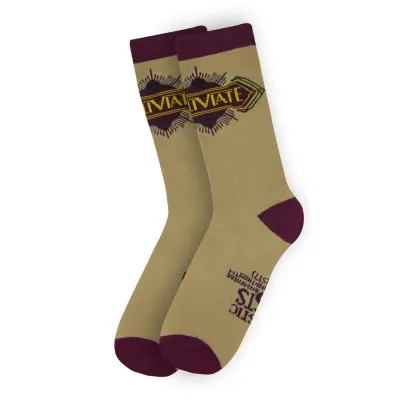 Шкарпетки Fantastic Beasts Macusa 3-pack 36-40 gray/mustard/blue - 2 - Robinzon.ua