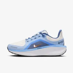 Жіночі Кросівки Nike W AIR WINFLO 11 GTX Різнокольоровий 40.5 (7dFQ1359-002 40.5) - Robinzon.ua