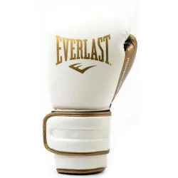 Боксерські рукавиці  Everlast POWERLOCK 2R TRAINING GLOVE білий, золотий Уні 12 унцій P00003049 - Robinzon.ua