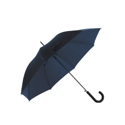 Зонт-трость RAIN PRO BLUE - Robinzon.ua