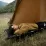 Складная кровать Naturehike XJC05 черная NH20JJ001. - 1 Складная кровать Naturehike XJC05 черная NH20JJ001. - 1 - Robinzon.ua