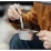 Кружка Naturehike из нержавеющей стали 300 мл NH21SJ002. - 3 Кружка Naturehike из нержавеющей стали 300 мл NH21SJ002. - 3 - Robinzon.ua
