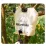 Складаний контейнер для води Naturehike, 10 л, жовтий CNK2450CF027 - 5 Складаний контейнер для води Naturehike, 10 л, жовтий CNK2450CF027 - 5 - Robinzon.ua