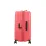 Валіза 67 см DASHPOP SUGAR PINK - 6 Валіза 67 см DASHPOP SUGAR PINK - 6 - Robinzon.ua