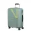 Валіза 66 см DYNABELT MISTY GREEN - 4 - Robinzon.ua