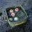 Складное ведро Naturehike на 13 л зеленое NH19SJ007. - 6 Складное ведро Naturehike на 13 л зеленое NH19SJ007. - 6 - Robinzon.ua