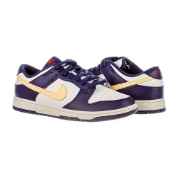 Чоловічі Кросівки Nike D LOW RETRO Різнокольоровий 42.5 (7dFV8106-181 42.5) - Robinzon.ua