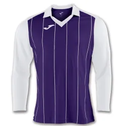 Футболка Joma GRADA фіолетовий,білий L 100681.552 L - Robinzon.ua