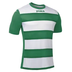 Футболка Joma EUROPA III зелений,білий S 100405.450 S - Robinzon.ua