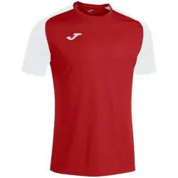 Футболка Joma ACADEMY IV червоно-білий Чол S 101968.602 S - Robinzon.ua