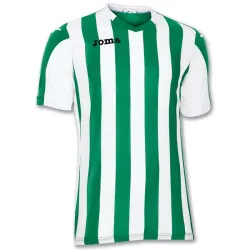 Футболка Joma COPA зелений,білий XS 100001.450 XS - Robinzon.ua
