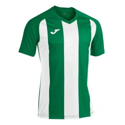 Футболка Joma PISA ll зелений,білий S 102243.452 S - Robinzon.ua
