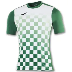 Мужская футболка Joma FLAG зеленый,белый S 100682.452 S - Robinzon.ua