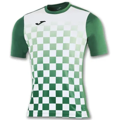 Мужская футболка Joma FLAG зеленый,белый S 100682.452 S - Robinzon.ua