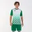 Мужская футболка Joma FLAG зеленый,белый S 100682.452 S - 1 - Robinzon.ua