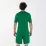 Мужская футболка Joma FLAG зеленый,белый S 100682.452 S - 2 - Robinzon.ua