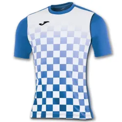 Мужская футболка Joma FLAG синий,белый S 100682.702 S - Robinzon.ua