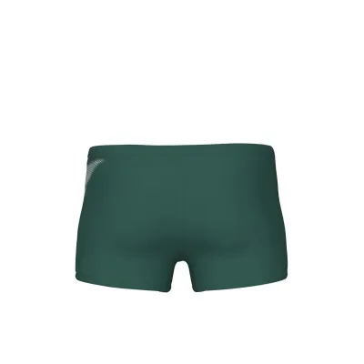 Плавки-шорти для чоловіків Arena BRIGHT GLARE SWIM SHORT зелений, білий Чол 100 008941-601 100 - 1 - Robinzon.ua