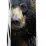 Складаний ніж Victorinox FIELDMASTER ANIMAL Чорний ведмідь 1.4713.3.F1100pw - 4 - Robinzon.ua