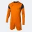 Воротарська форма Joma  PHOENIX помаранчевий M 102858.881 M - 1 - Robinzon.ua
