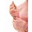 Жіноча Кофта Nike SWOOSH Рожевий S (7dFB4687-618 S) - 2 - Robinzon.ua