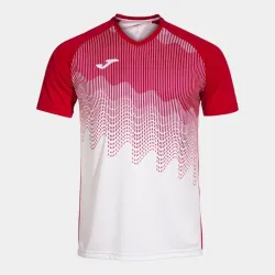 Мужская Футболка Joma TIGER VI Красный M (103679.206 M) - Robinzon.ua