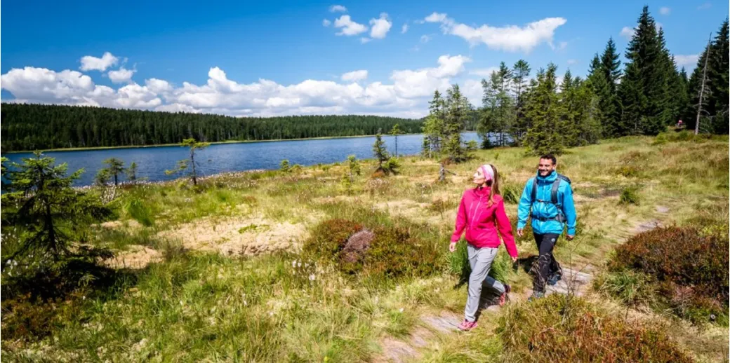 Одежда с Softshell: что за технология и как она работает? - Robinzon.ua