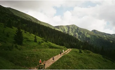 Карпати: місце, що перевершує очікування - Robinzon.ua