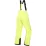 Штаны мужские Alpine Pro LERMON, Yellow, L (MPAY615236 L) - 3 - Robinzon.ua