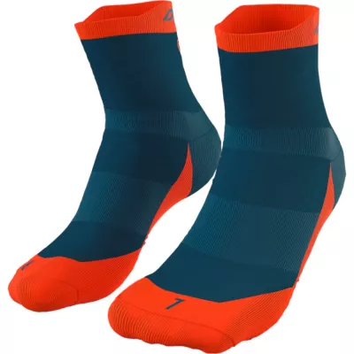 Шкарпетки Dynafit TRANSALPER SK 71525 8811 - 35-38 - синій/червоний - Robinzon.ua