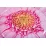 Плотик-матрас надувной Intex Розовый Колірок 142 см (58787) - 3 - Robinzon.ua