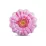 Плотик-матрас надувной Intex Розовый Колірок 142 см (58787) - Robinzon.ua