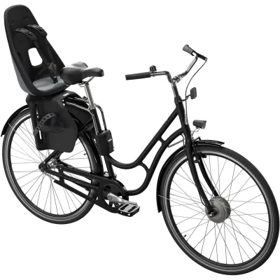 Дитяче крісло Thule Yepp Nexxt Maxi FM (Monument) (TH 12080222) - 1 - Robinzon.ua