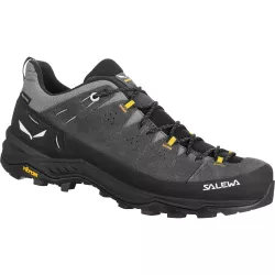 Кросівки чоловічі Salewa ALP TRAINER 2 GTX M, grey/black, 41 (61400/0876 7,5) - Robinzon.ua