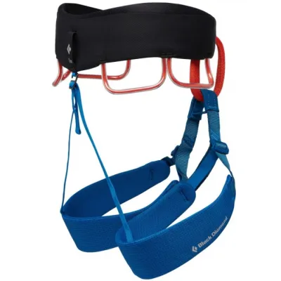 Страховочная система мужская Black Diamond M Momentum, Kingfisher, L (BD 6500054015LG_1) - 1 - Robinzon.ua
