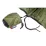 Чохол Tatonka Rain Flap XXL, Cub (TAT 3112.036) - 1 - Robinzon.ua