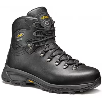 Ботинки мужские Asolo 520 Winter GV MM, Black, 46 1/3 (ASL A11030.А388-11/5) - Robinzon.ua