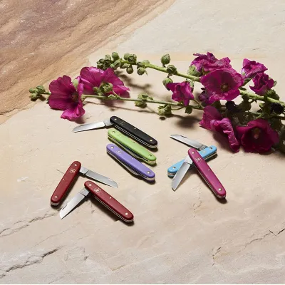 Розкладний ніж Victorinox Garden Vx39050.53B1 - 2 - Robinzon.ua