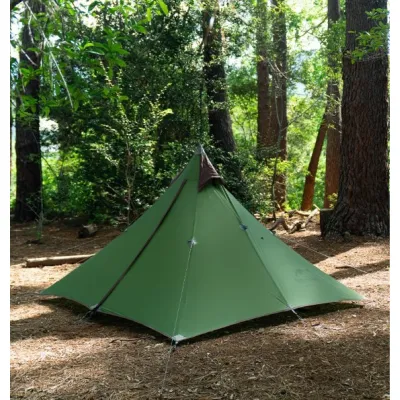 Одномісний намет Naturehike Spire 1  20D nylon зелений  NH17T030-L - 5 - Robinzon.ua