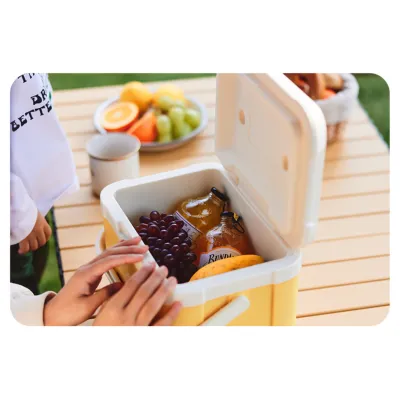 Туристичний холодильник Naturehike CNK2450CF012, 5 л, бежевий - 2 Туристичний холодильник Naturehike CNK2450CF012, 5 л, бежевий - 2 - Robinzon.ua