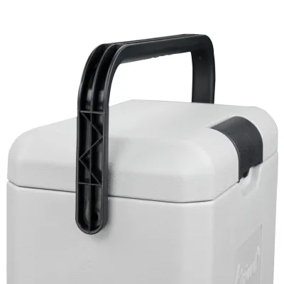 Компресорний автохолодильник Alpicool P8 (8 літрів). До -15℃, живлення 12, 24, 220 вольт - 5 Компресорний автохолодильник Alpicool P8 (8 літрів). До -15℃, живлення 12, 24, 220 вольт - 5 - Robinzon.ua